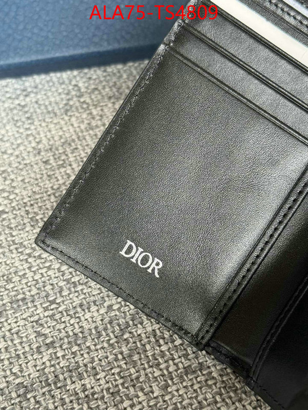 ID: TS4809 $: 75USD,