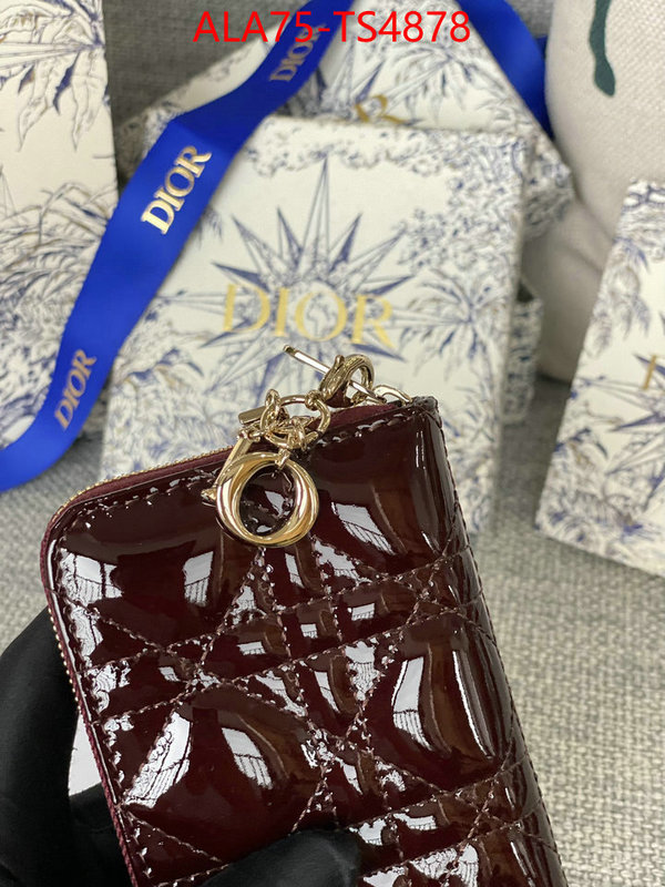 ID: TS4878 $: 75USD,