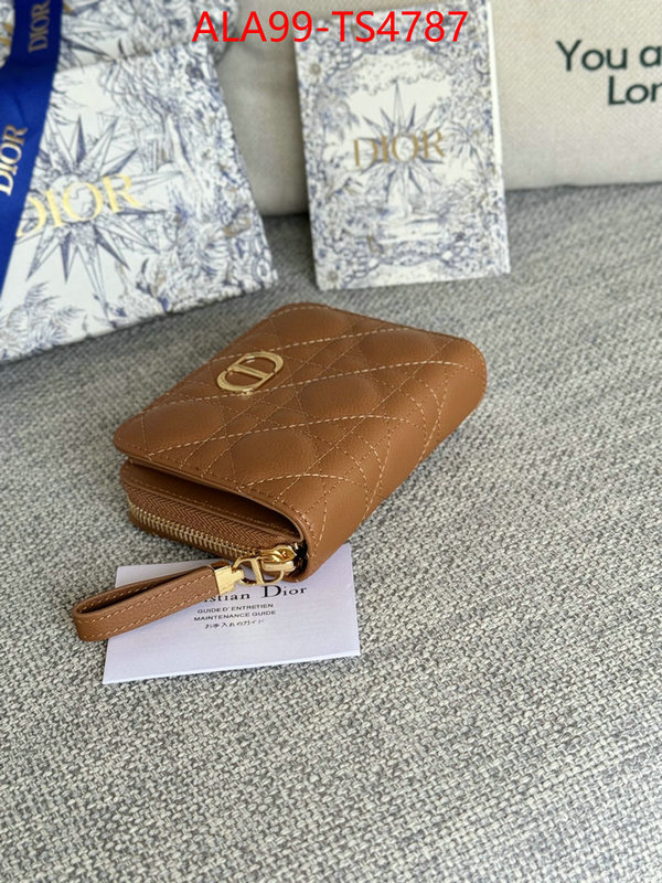 ID: TS4787 $: 99USD,