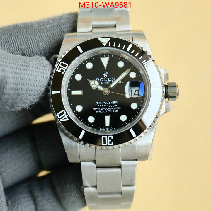 ID: WA9581