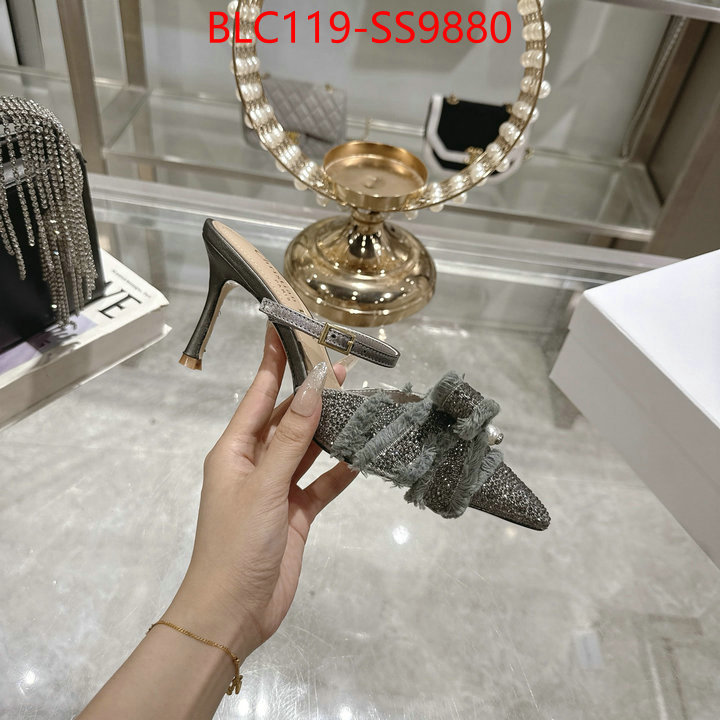 Women Shoes-Dior store ID: SS9880 $: 119USD