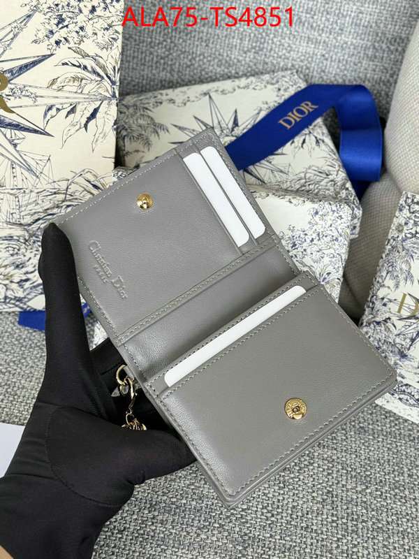 ID: TS4851 $: 75USD,