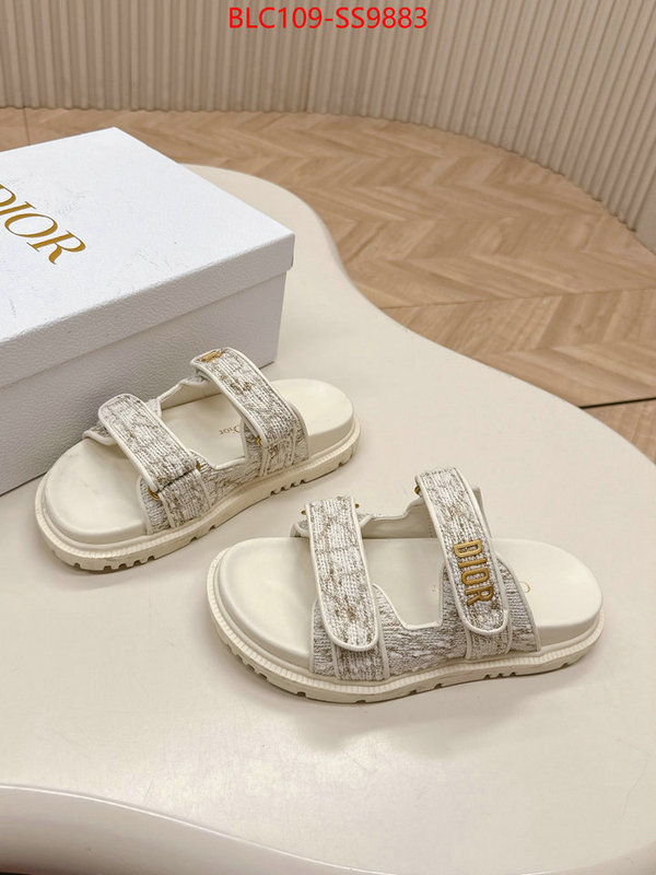 Women Shoes-Dior for sale online ID: SS9883 $: 109USD