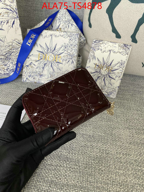 ID: TS4878 $: 75USD,