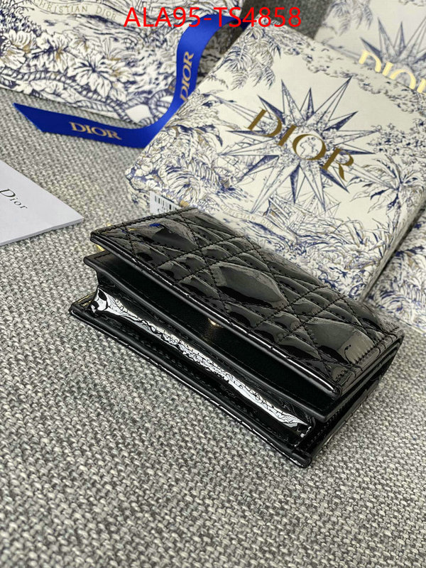 ID: TS4858 $: 95USD,