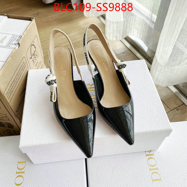 Women Shoes-Dior for sale cheap now ID: SS9888 $: 109USD