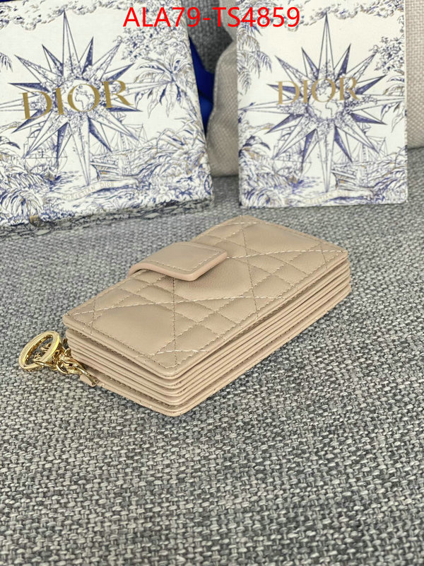 ID: TS4859 $: 79USD,