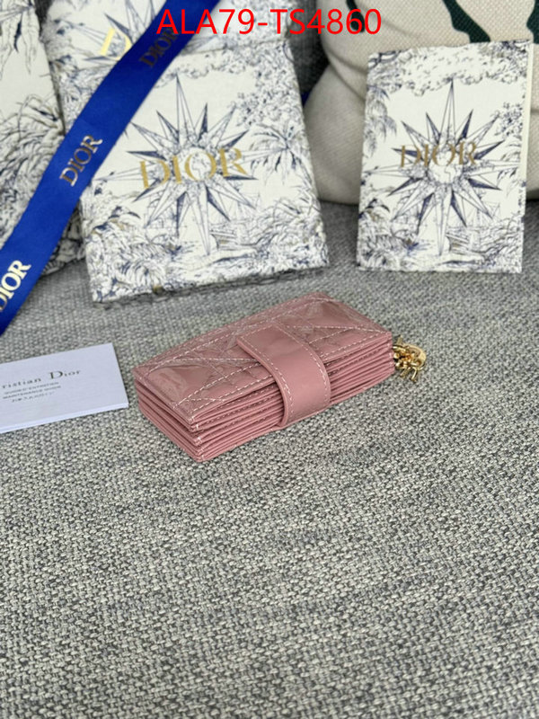 ID: TS4860 $: 79USD,