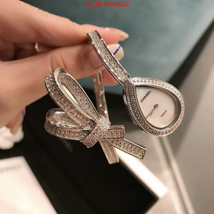 ID: WB6667
