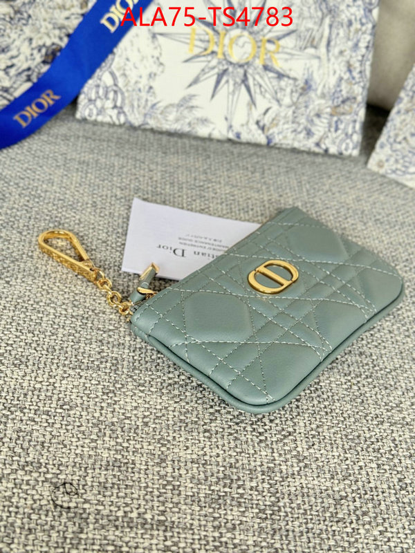ID: TS4783 $: 75USD,