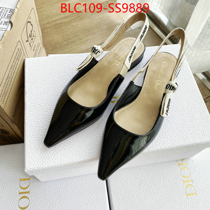 Women Shoes-Dior best knockoff ID: SS9889 $: 109USD