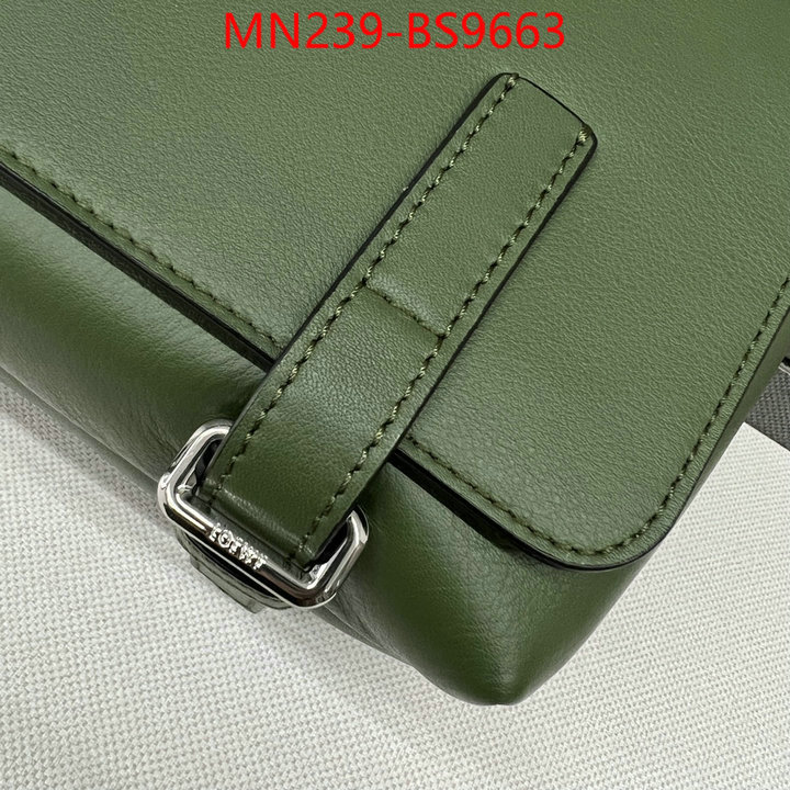 Loewe Bags(TOP)-Crossbody- luxury cheap ID: BS9663 $: 239USD,
