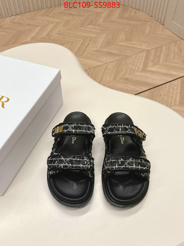 Women Shoes-Dior for sale online ID: SS9883 $: 109USD