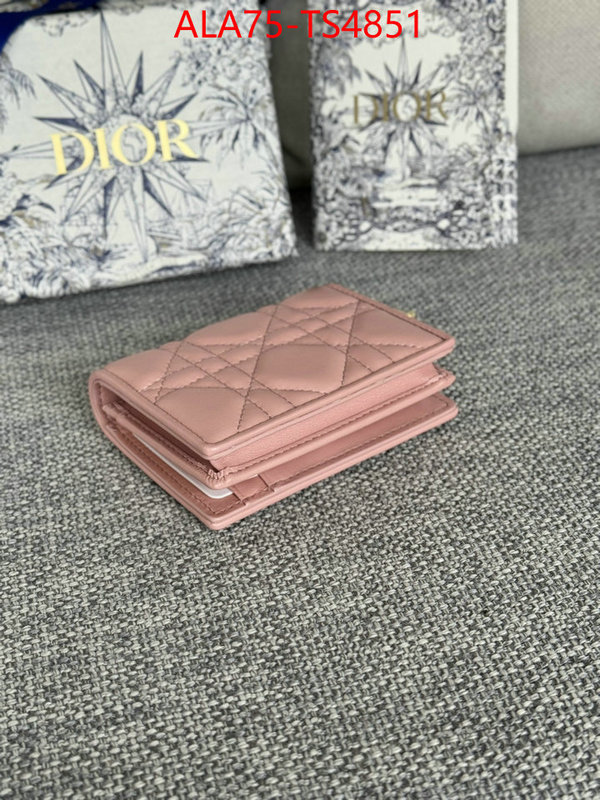 ID: TS4851 $: 75USD,