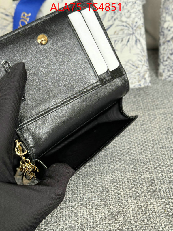 ID: TS4851 $: 75USD,