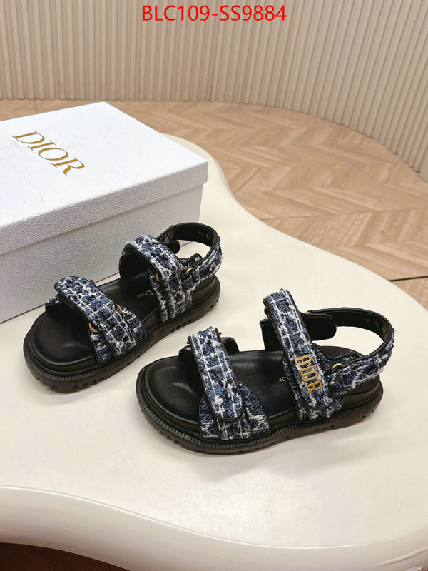 Women Shoes-Dior wholesale 2024 replica ID: SS9884 $: 109USD