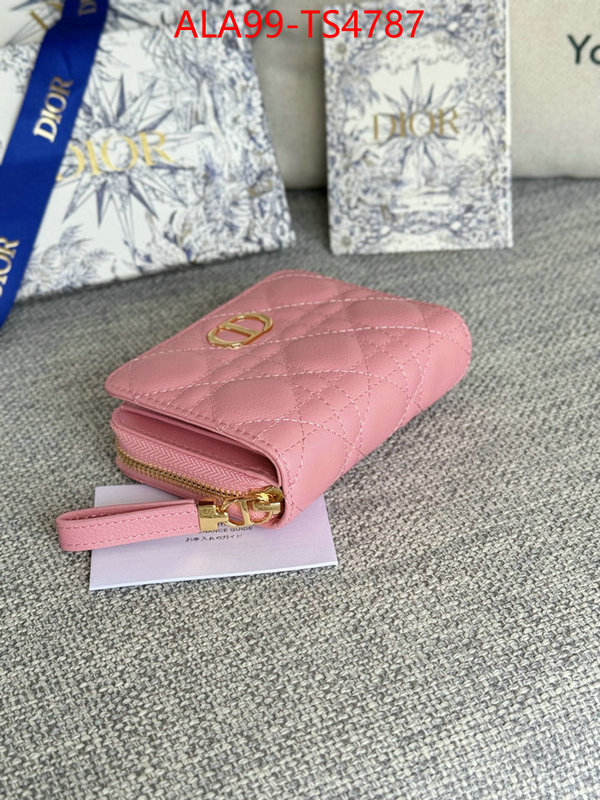 ID: TS4787 $: 99USD,