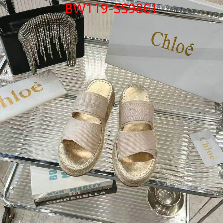 Women Shoes-Chloe high quality replica designer ID: SS9861 $: 119USD