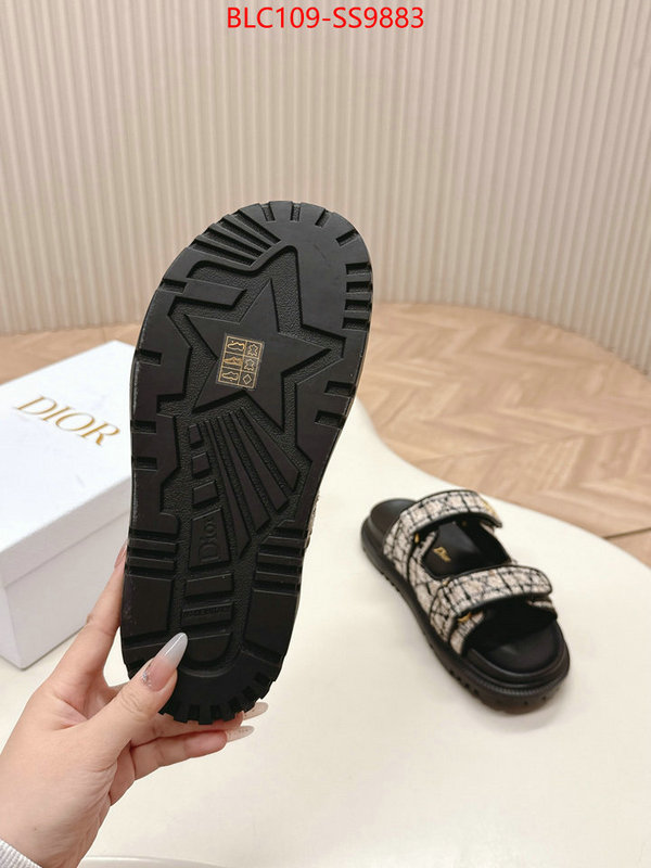Women Shoes-Dior for sale online ID: SS9883 $: 109USD