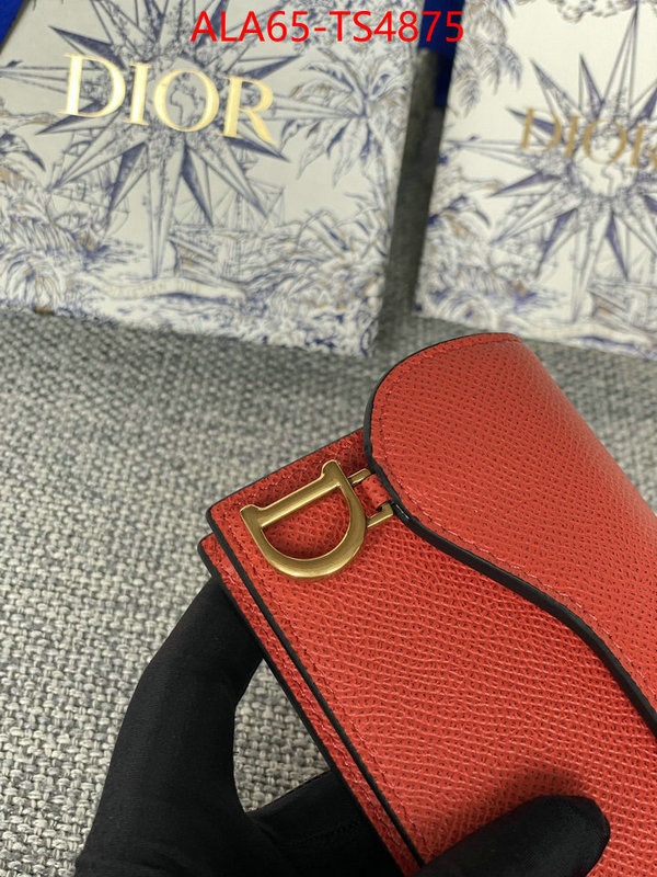 ID: TS4875 $: 65USD,