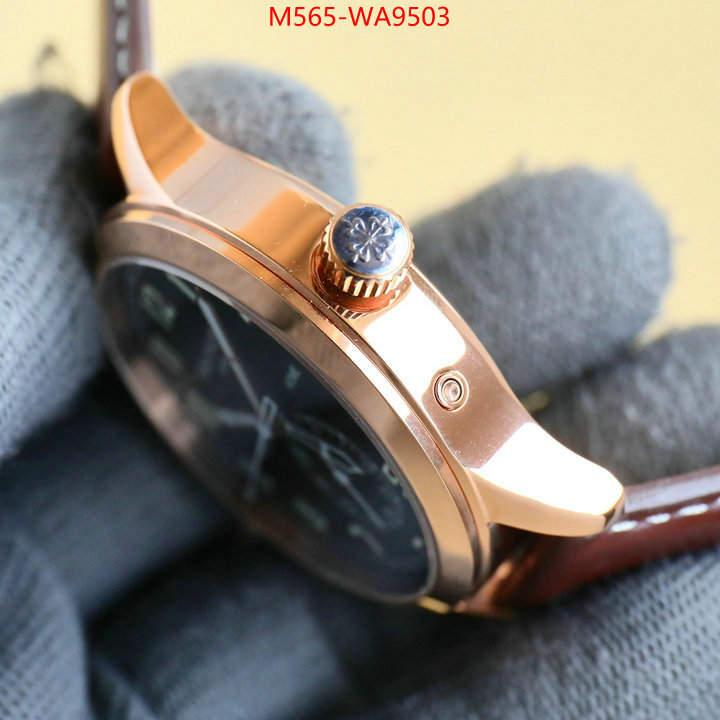 ID: WA9503