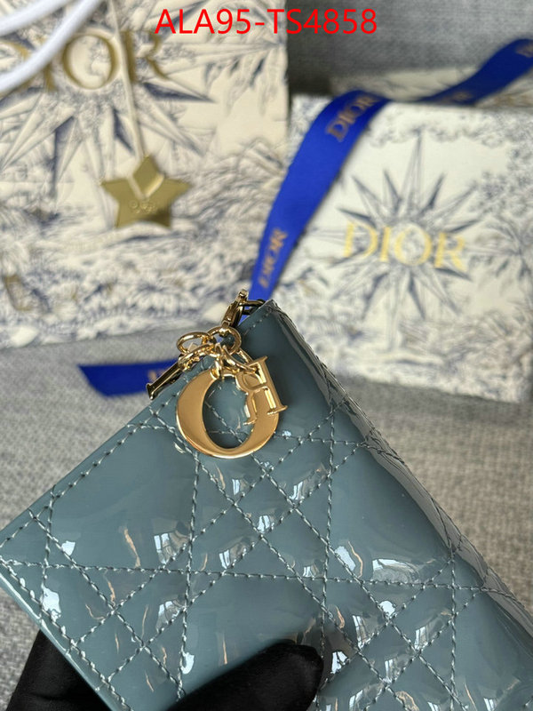 ID: TS4858 $: 95USD,