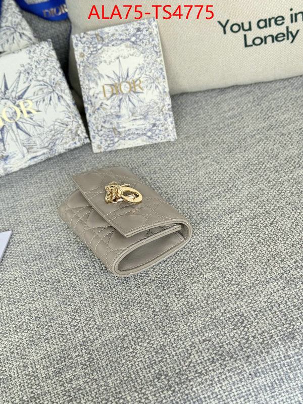 ID: TS4775 $: 75USD,
