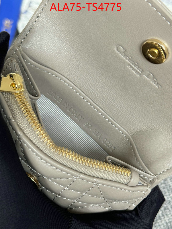 ID: TS4775 $: 75USD,