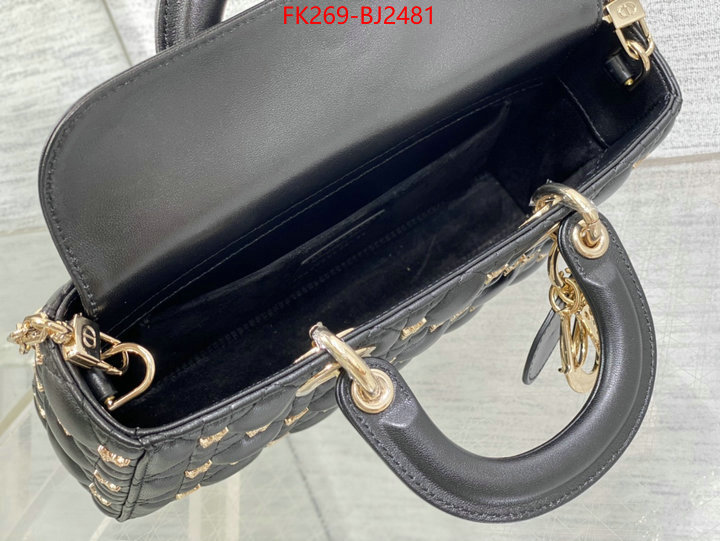 ID: BJ2481 $: 269USD,