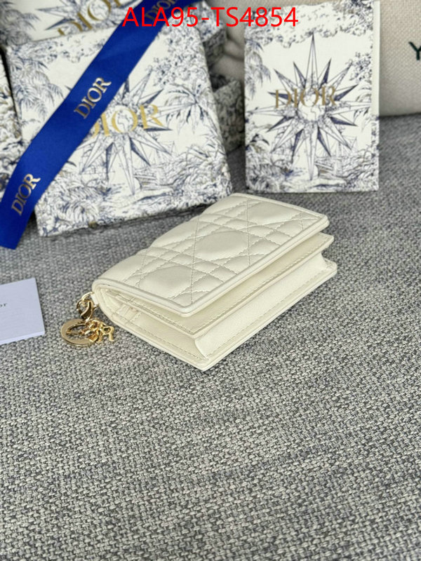 ID: TS4854 $: 95USD,