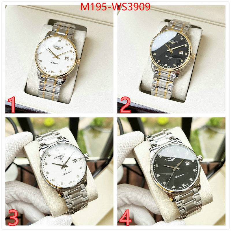 ID: WS3909