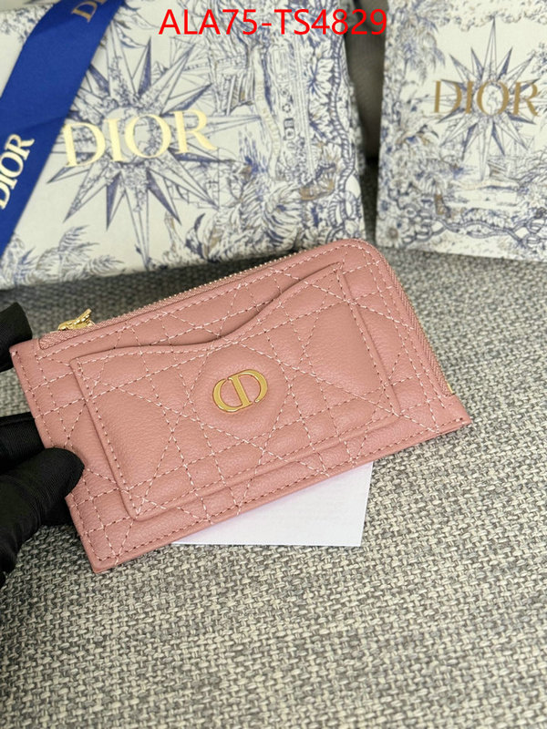 ID: TS4829 $: 75USD,