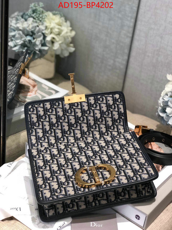 ID: BP4202 $: 195USD,