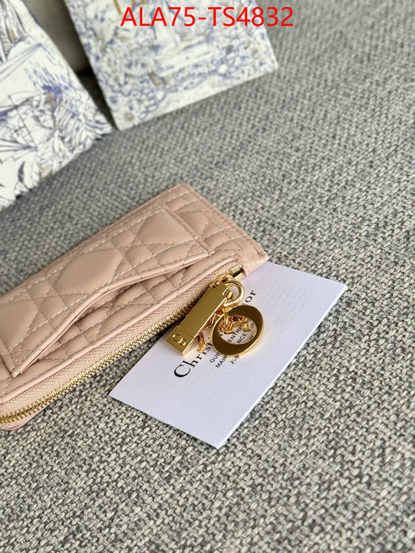 ID: TS4832 $: 75USD,