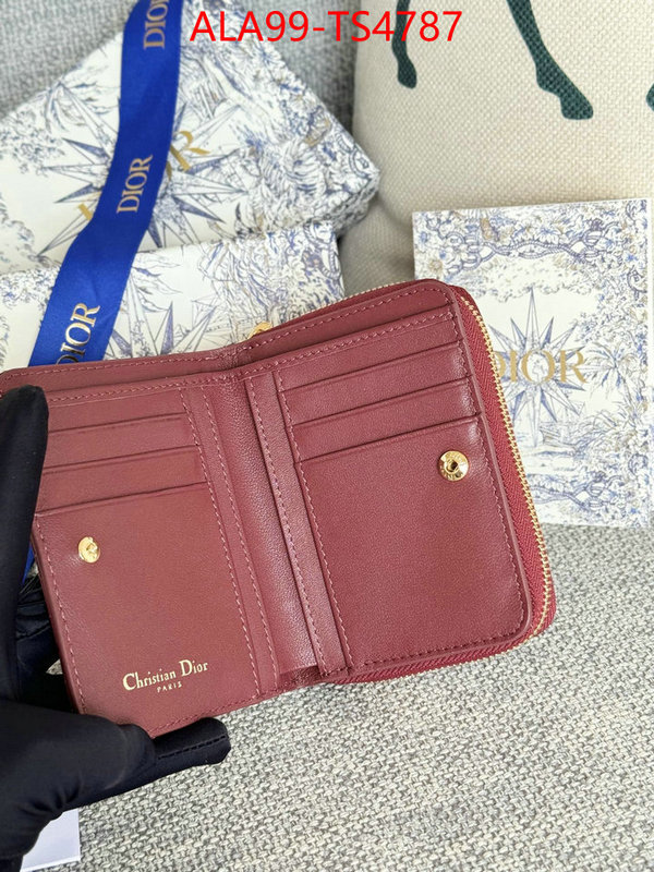 ID: TS4787 $: 99USD,