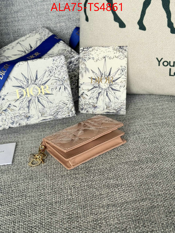 ID: TS4861 $: 75USD,