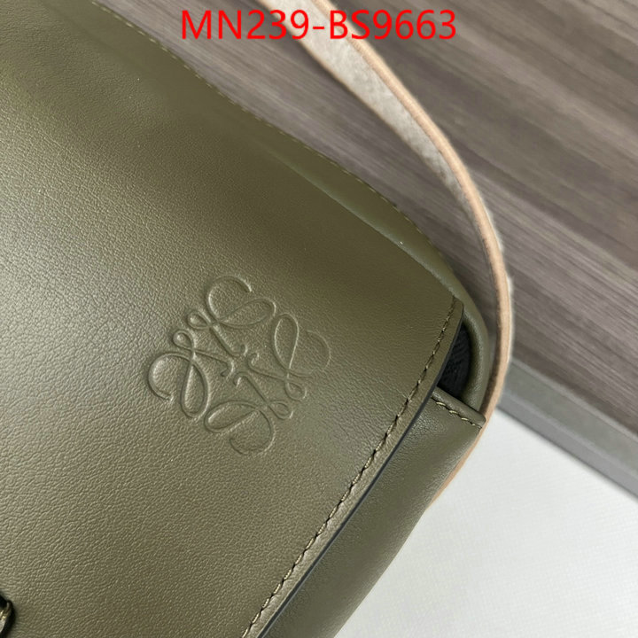 Loewe Bags(TOP)-Crossbody- luxury cheap ID: BS9663 $: 239USD,