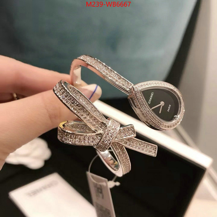 ID: WB6667