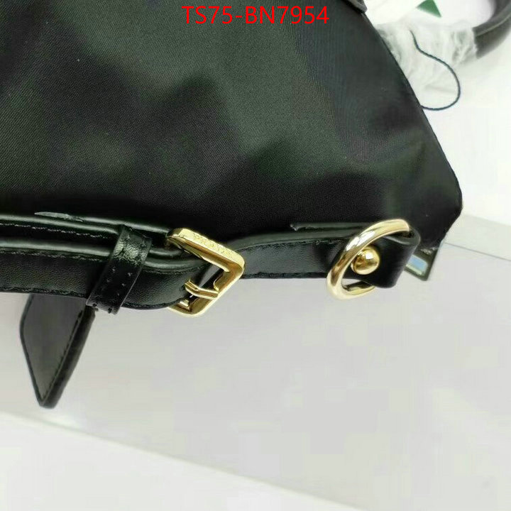 ID: BN7954 $: 75USD,