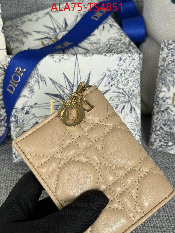 ID: TS4851 $: 75USD,