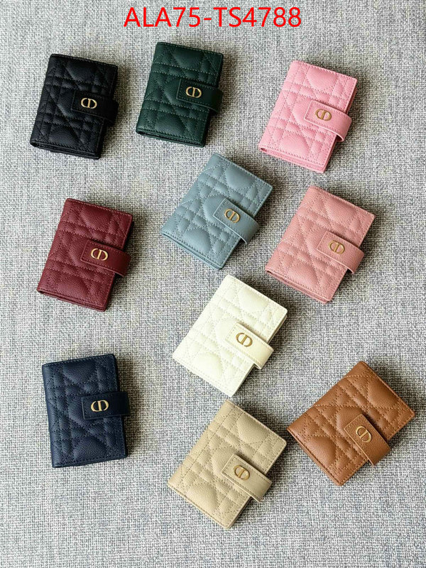 ID: TS4788 $: 75USD,