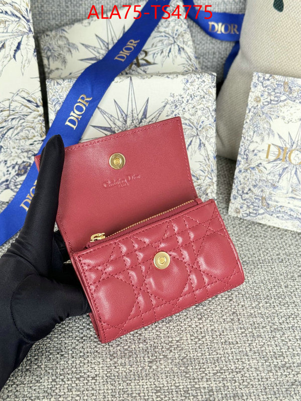 ID: TS4775 $: 75USD,