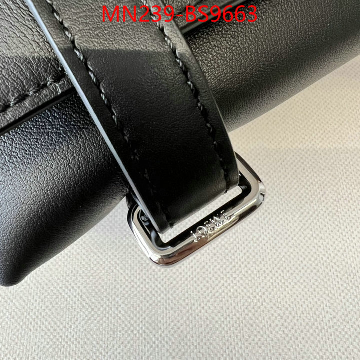 Loewe Bags(TOP)-Crossbody- luxury cheap ID: BS9663 $: 239USD,