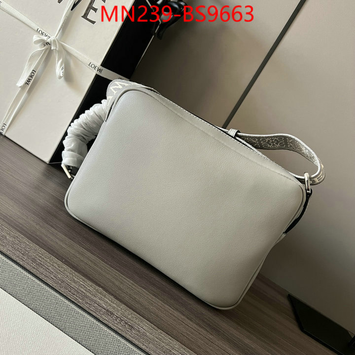 Loewe Bags(TOP)-Crossbody- luxury cheap ID: BS9663 $: 239USD,