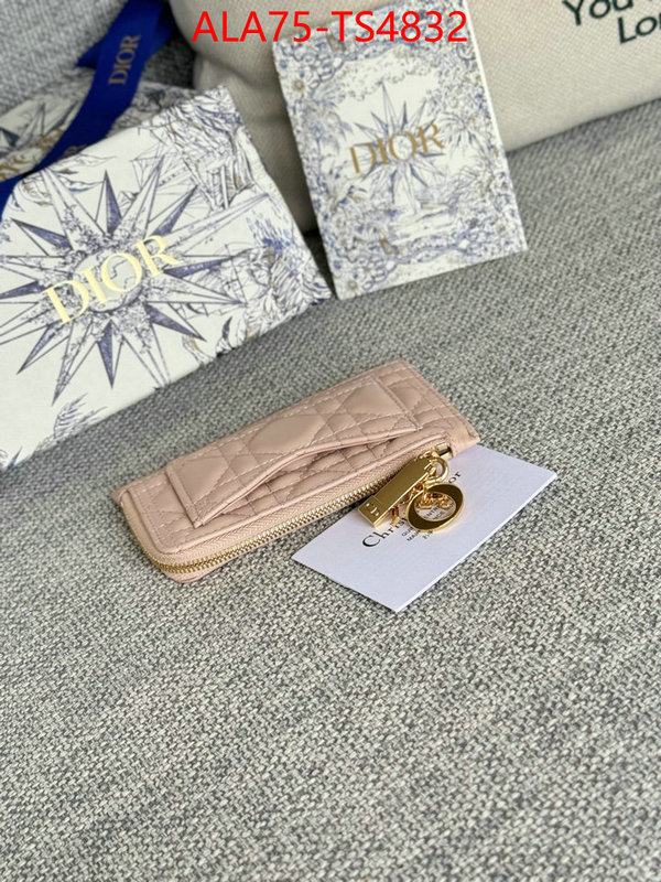 ID: TS4832 $: 75USD,