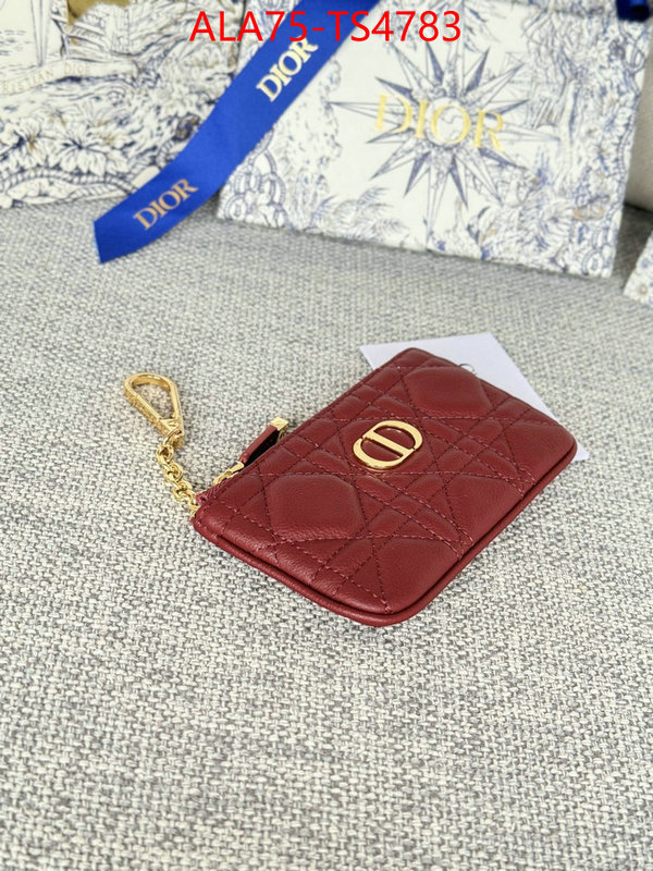 ID: TS4783 $: 75USD,