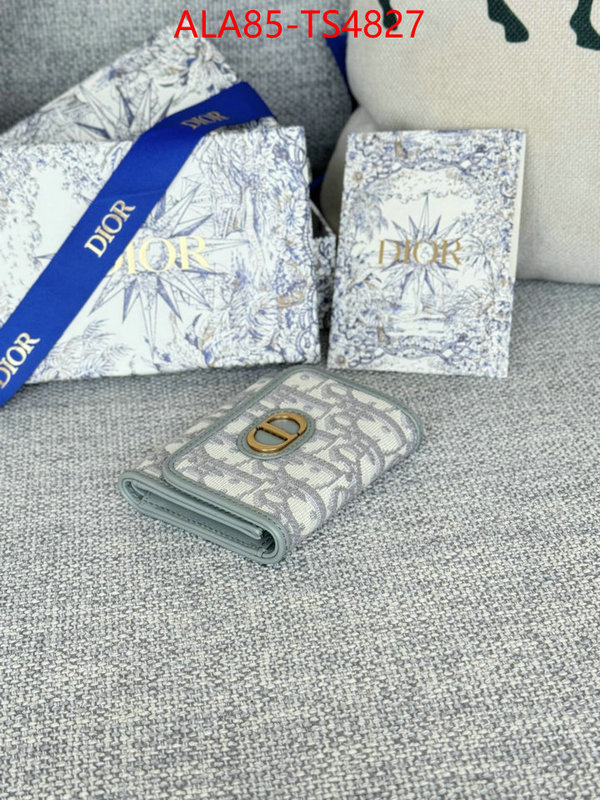 ID: TS4827 $: 85USD,