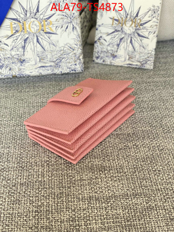 ID: TS4873 $: 79USD,