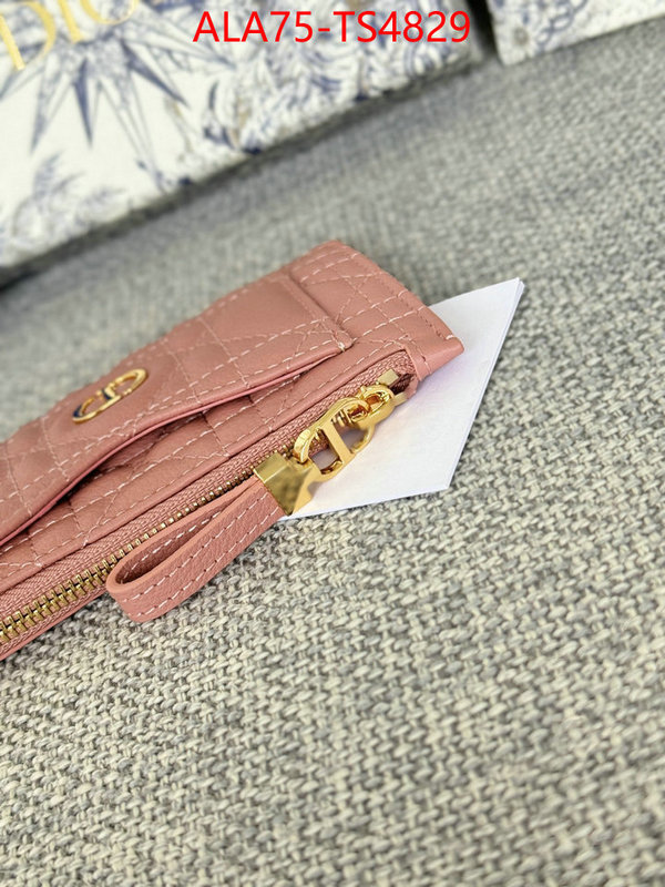 ID: TS4829 $: 75USD,