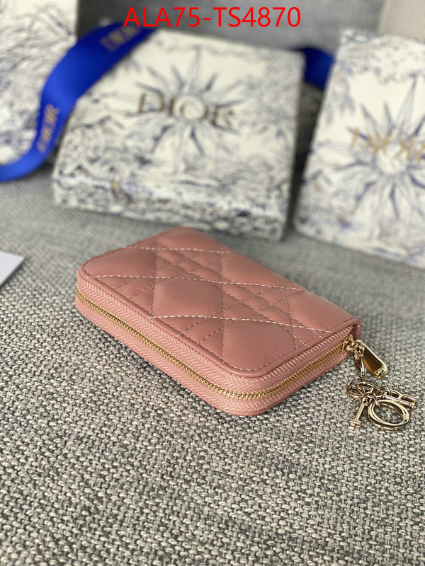 ID: TS4870 $: 75USD,